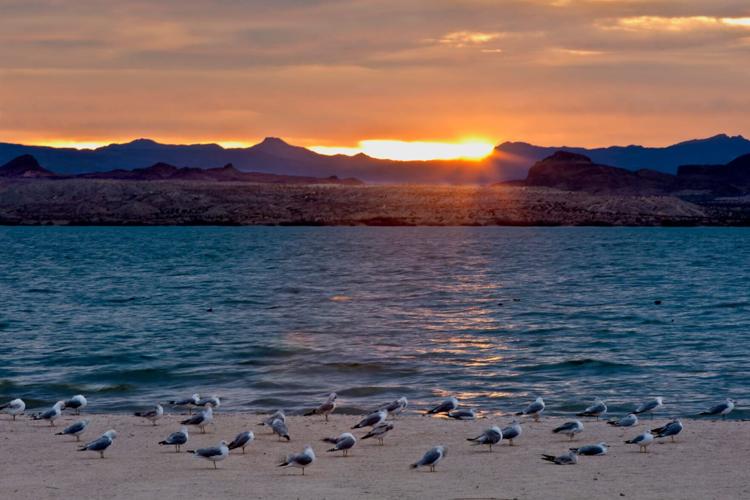 These 5 Arizona state parks get the most visitors
