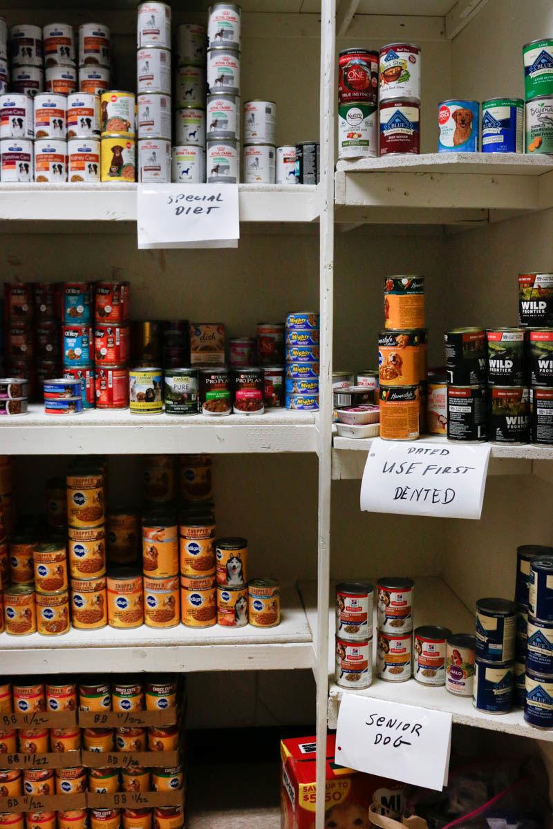 Feeding Fido Top 10 Dog Food Products For Pet Parents in Tucson's Food