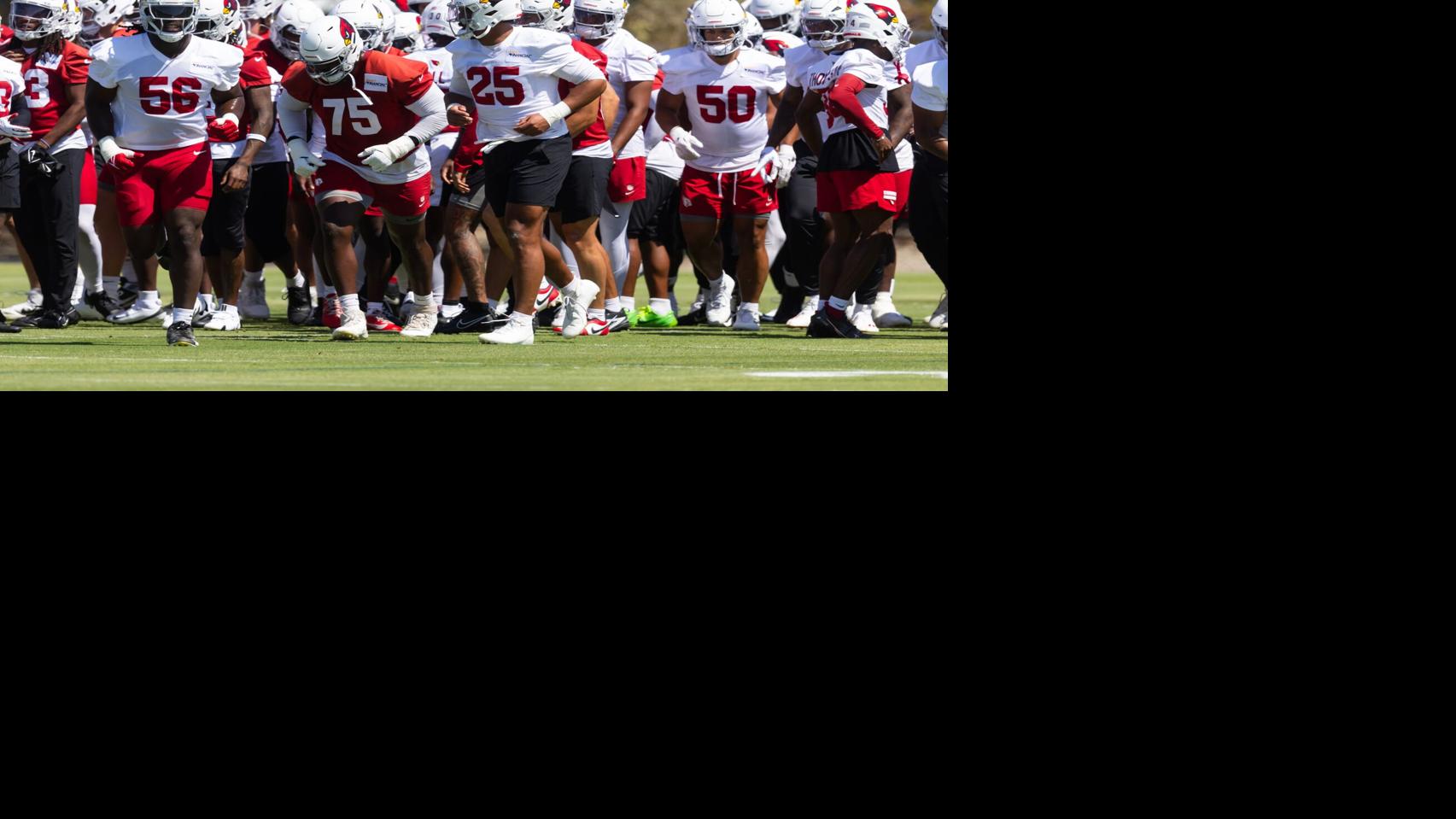 Arizona Cardinals' Darius Robinson ready to let his play do the talking in Year 3