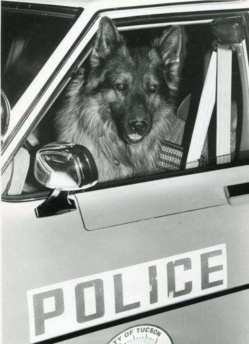 Canine cruiser (1992)