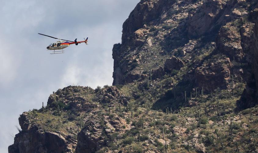 Bighorn sheep survey, 2021