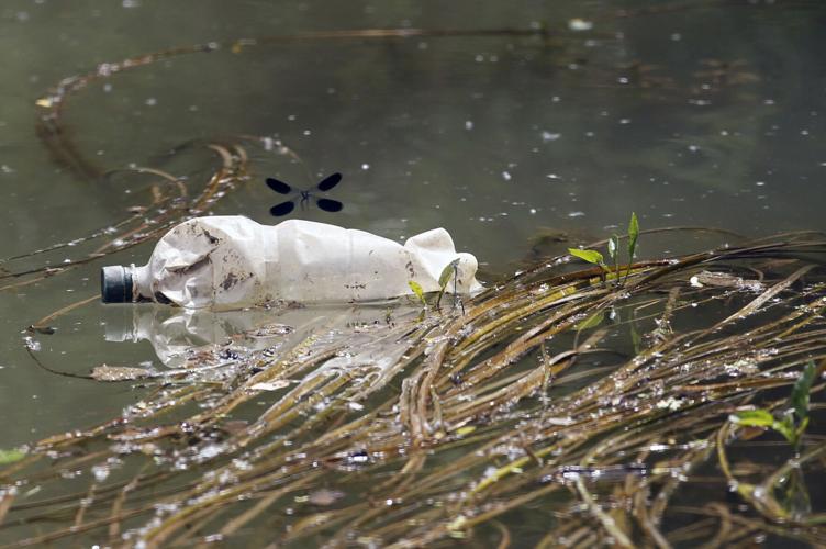 Threatened Freshwater Animals