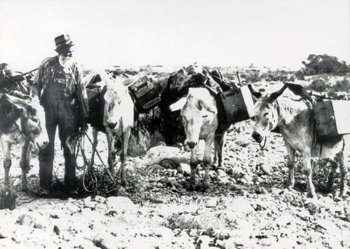 Mules and ore