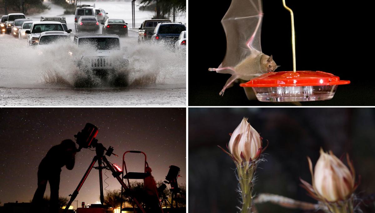 Citizen science