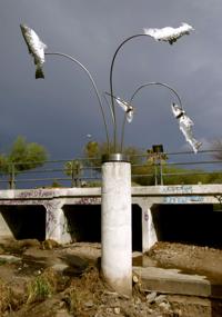 Big Jim: Fishing for sand trout — and suckers