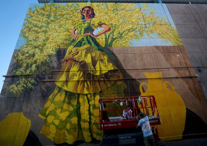 'Paula Verde' blooms in downtown Tucson
