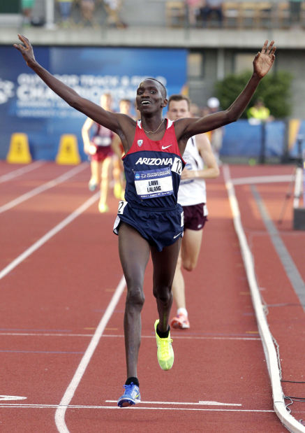 Lawi Lalang