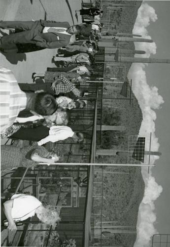 The Arizona-Sonora Desert Museum at 60 years old