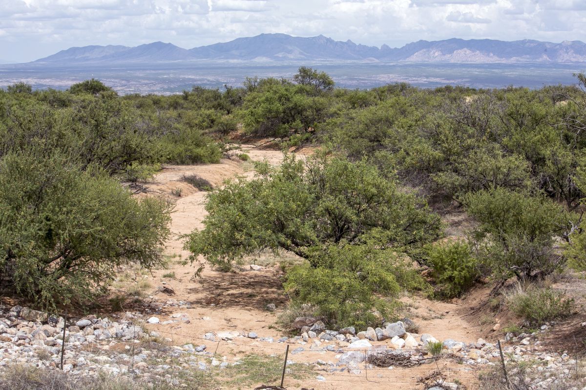 Vigneto Whetstone Ranch Project
