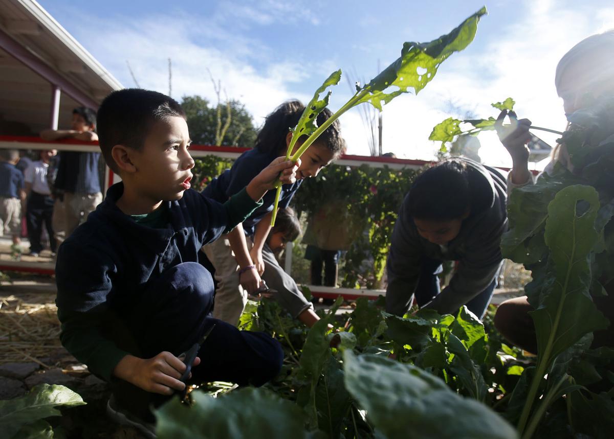 Manzo Elementary garden program