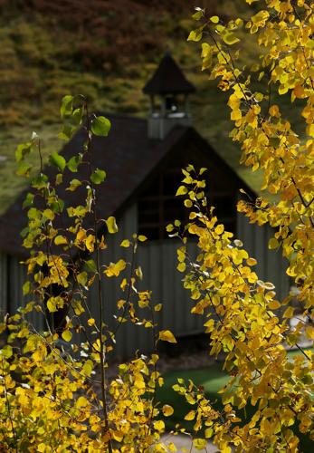 Fall colors on Mount Lemmon