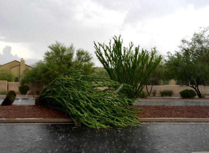 rain Oro Valley