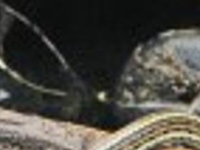 Imperiled Garter Snake Won T Get Protection Environment Tucson Com