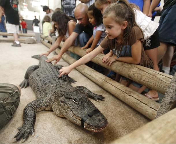 Tucson Reptile and Amphibian Show
