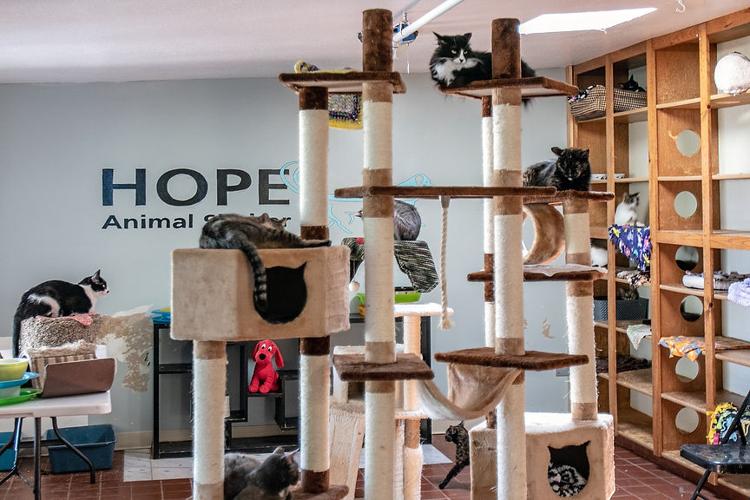 Hope Animal Shelter