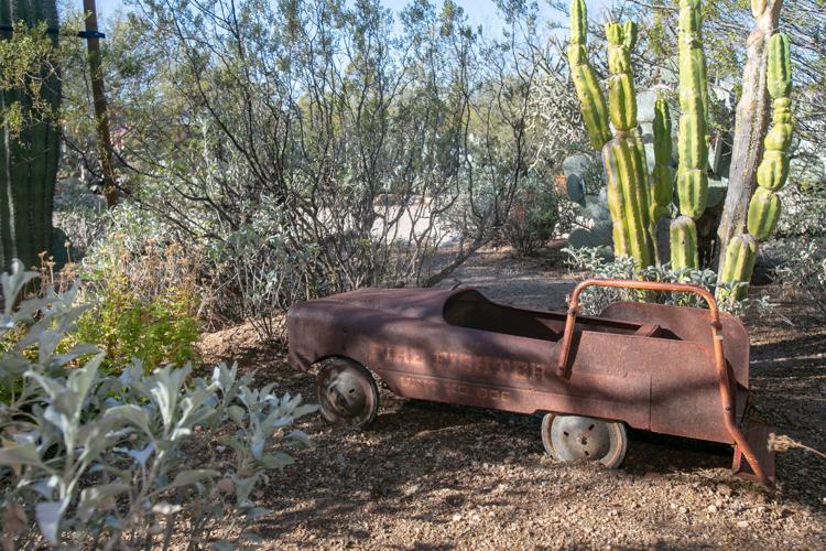 Baron home landscape