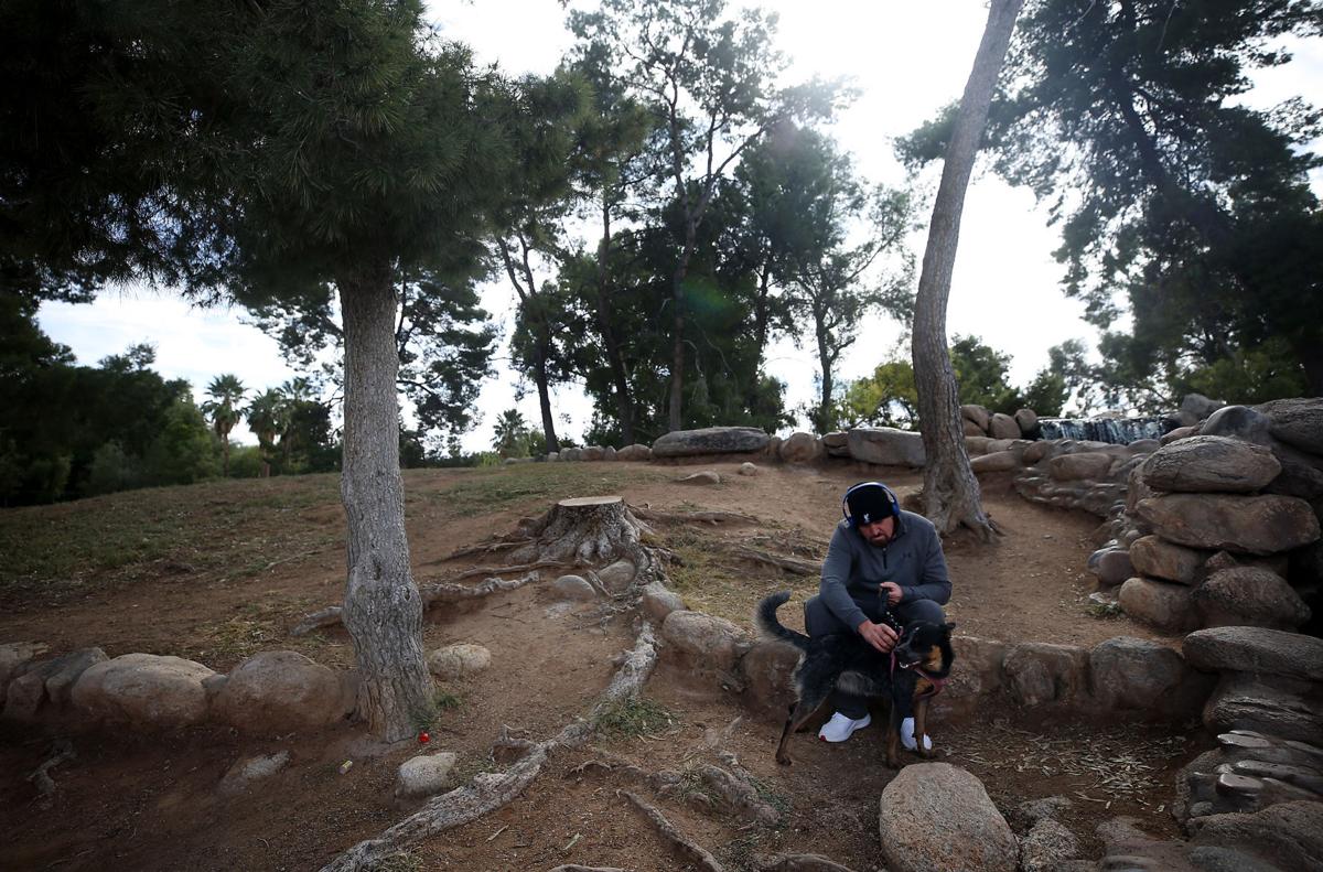 Tucson City Council Votes To Pause Reid Park Zoo Expansion Project Local News Tucson Com