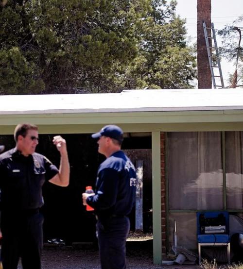 1 tree-trimmer killed, 2 injured  