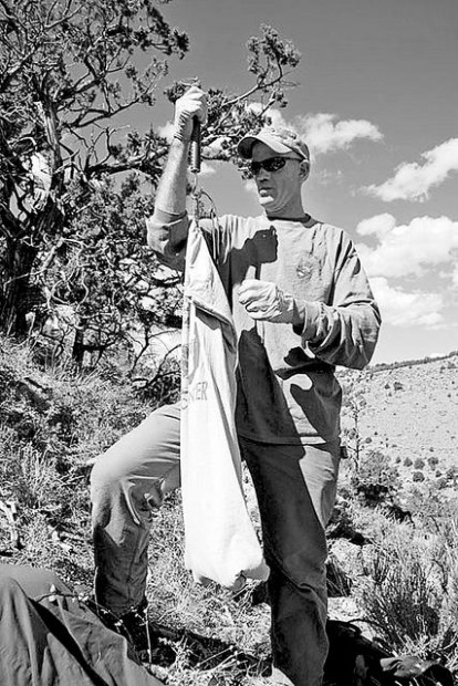 Canyon biologist most likely got plague doing necropsy on cougar  