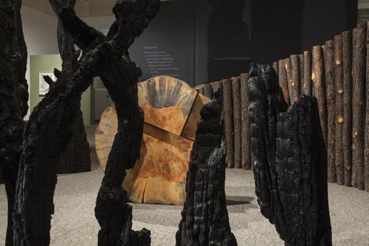 Broken Equilibrium and Reconstruction by Bryan David Griffith