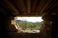 Saguaro National Park