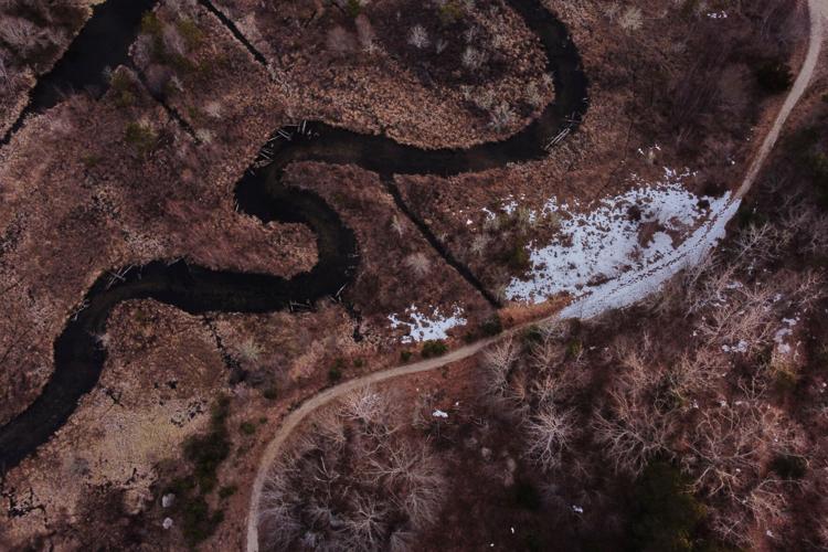 Climate Cranberry Bog Restoration