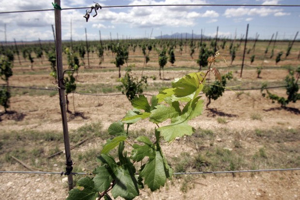 Sierra Vista positions itself as nerve center of 'Napa-zona'   