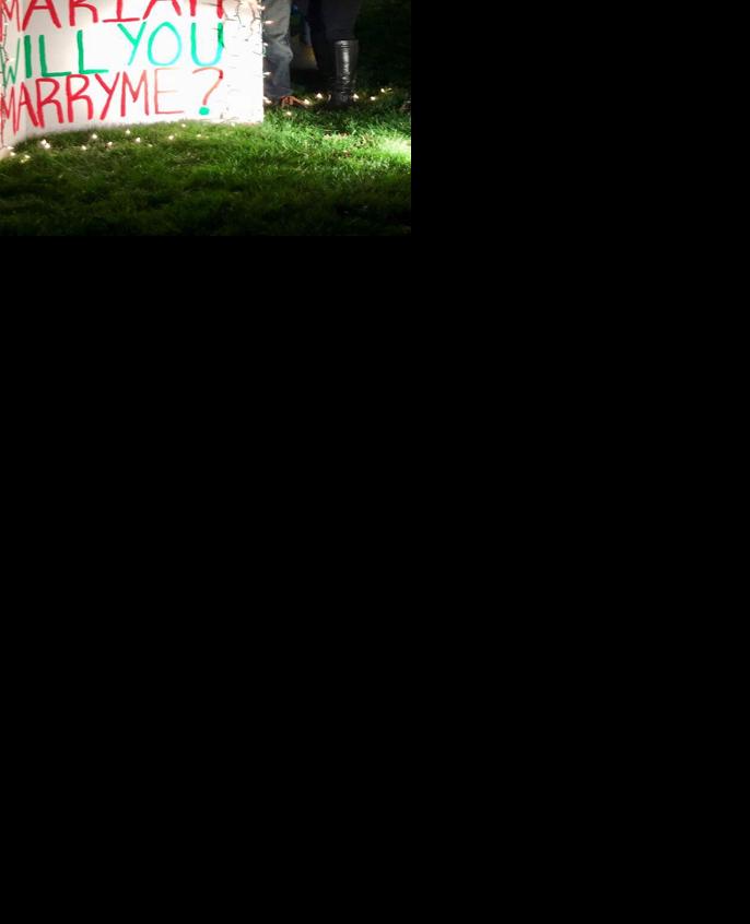 Winterhaven proposal