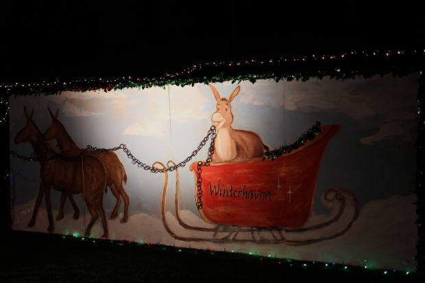 Winterhaven Festival of Lights 2013