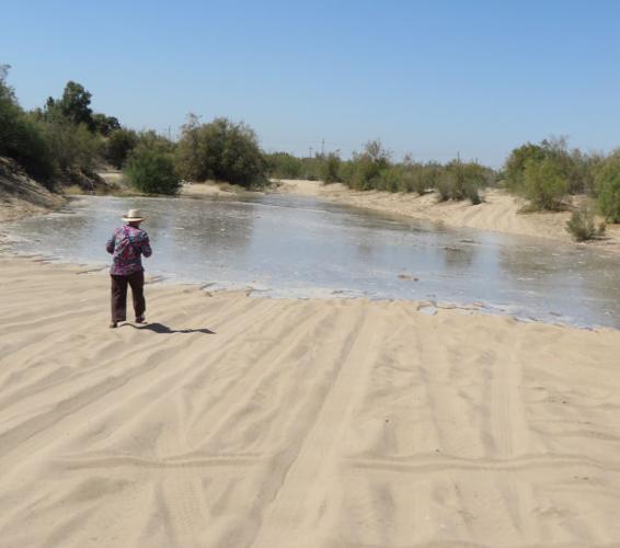 Colorado River delta