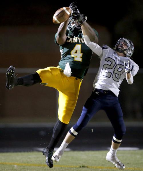 Ironwood Ridge 42, Canyon del Oro 14