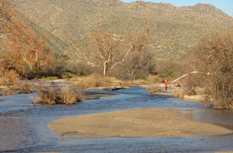 Agua Caliente Wash flowing