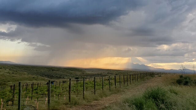 Where to watch the monsoon