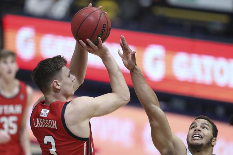 Utah California Basketball