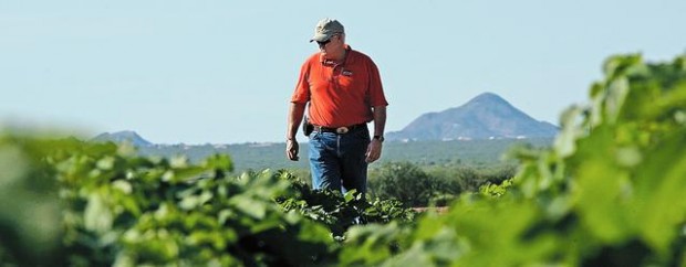 Buckelew land will benefit wildlife  