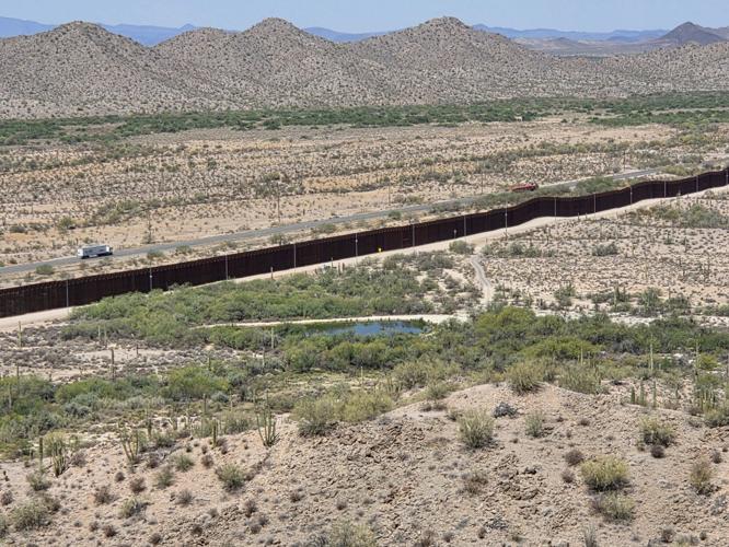 Experts ready rescue plan for endangered turtle in path of second border wall