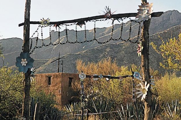 Bonnie Henry: Ted DeGrazia: His life and loves  