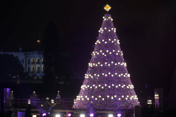 The lighting of the national holiday tree