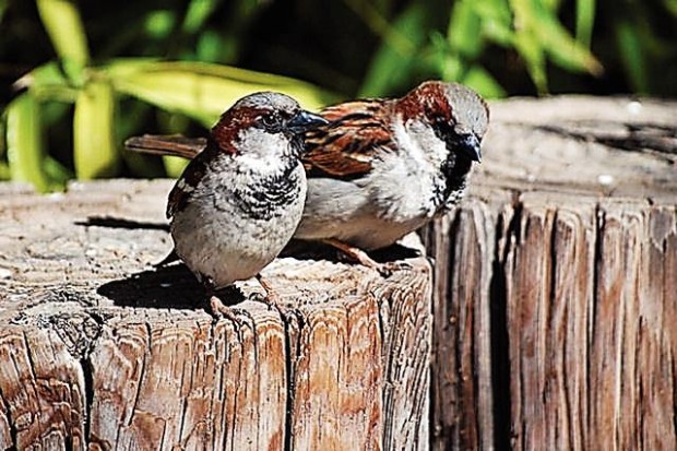 'Anywhere I go, I bring my camera'  