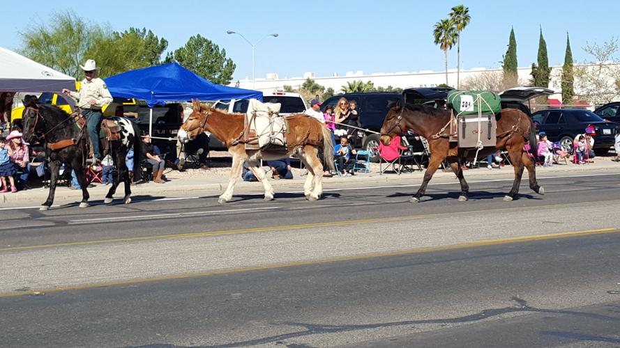 Tucson Rodeo Parade 2016
