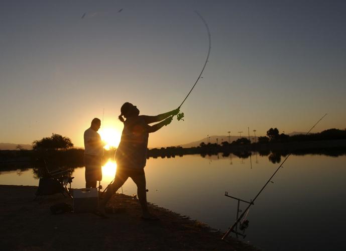 13 Le C Kennedy BS p7