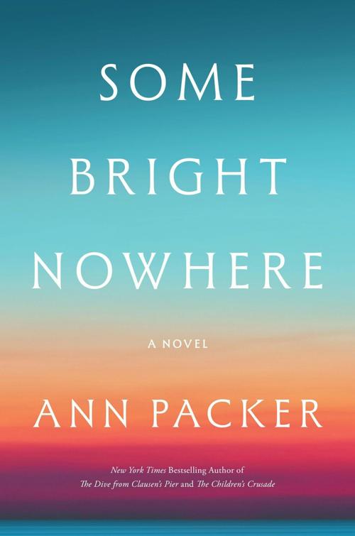 It feels like Packer has a deep understanding of the complex emotions she portrays in“ Some Bright Nowhere.” And like we’ ve been given privileged access to a horrible situation we’ d all like to keep confined to the pages of a book.