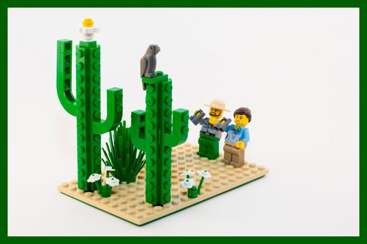 Toying with cacti