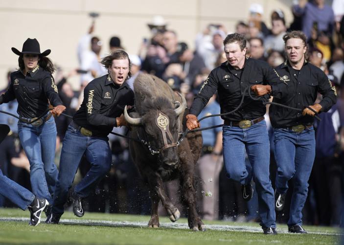 Arizona Colorado Football