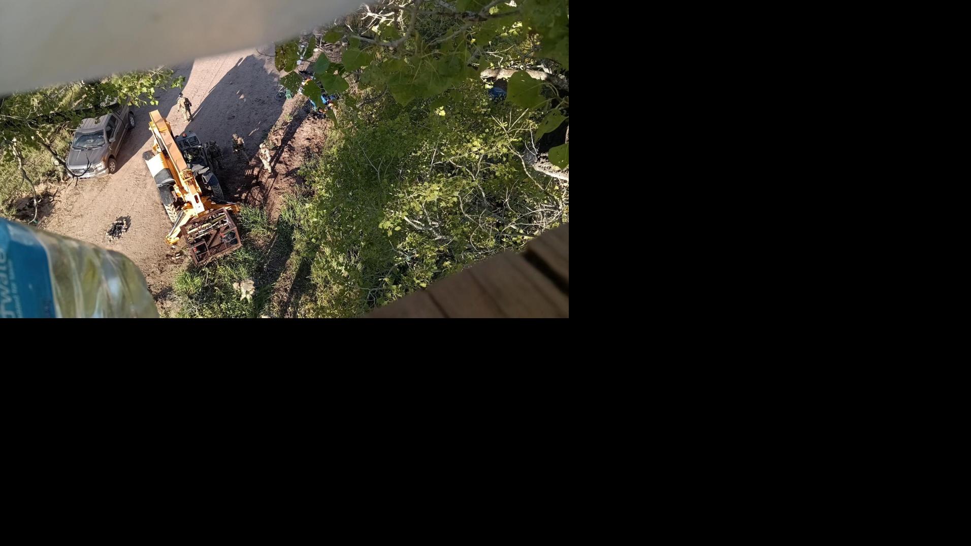 Arizona border protesters removed; 'Grandmother' cottonwood toppled
