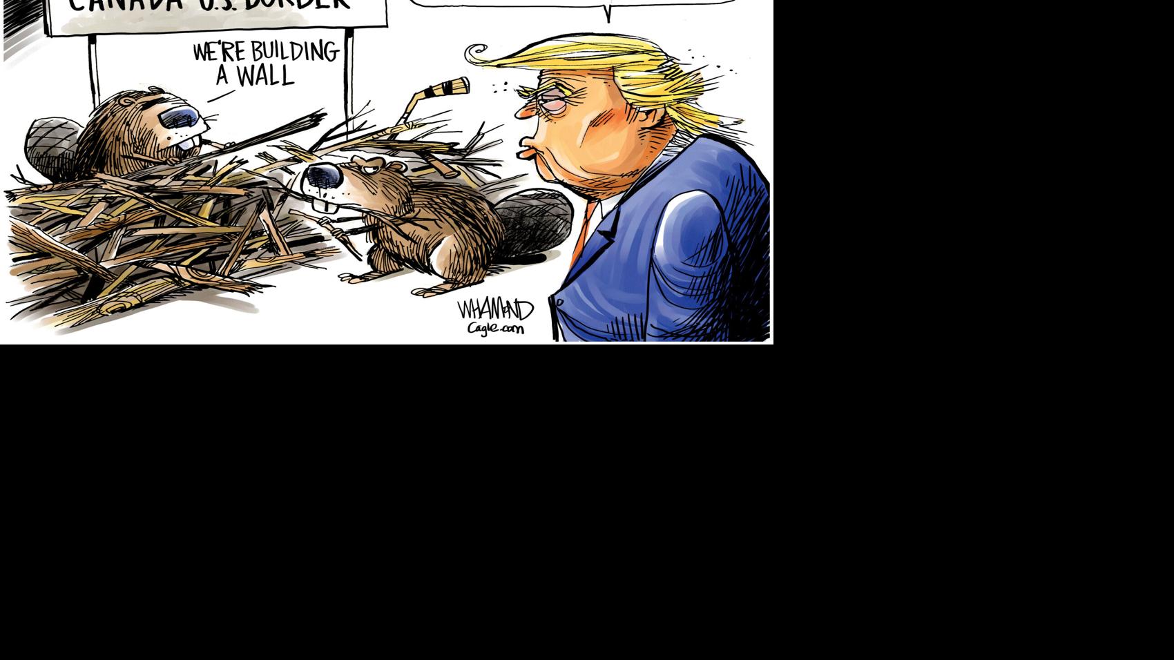 ANOTHER VIEW | Dave Whamond | Cagle Cartoons