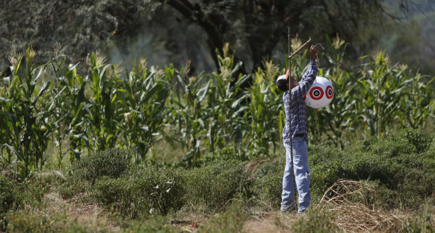Toxic contamination of Rio Sonora