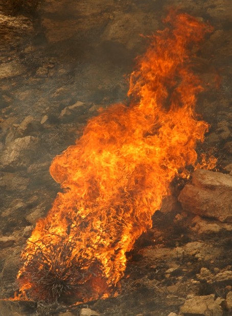 Aspen Fire recovery
