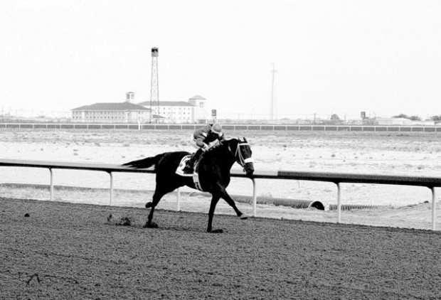New Mexico mare sets record in win  