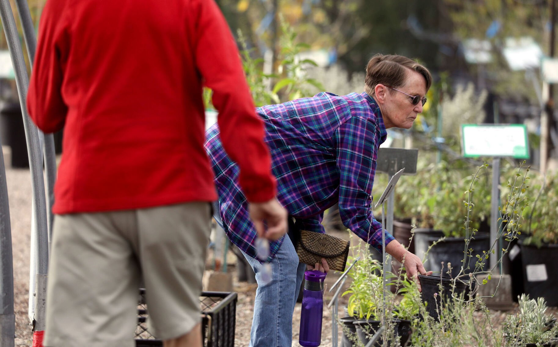 garden shoppers